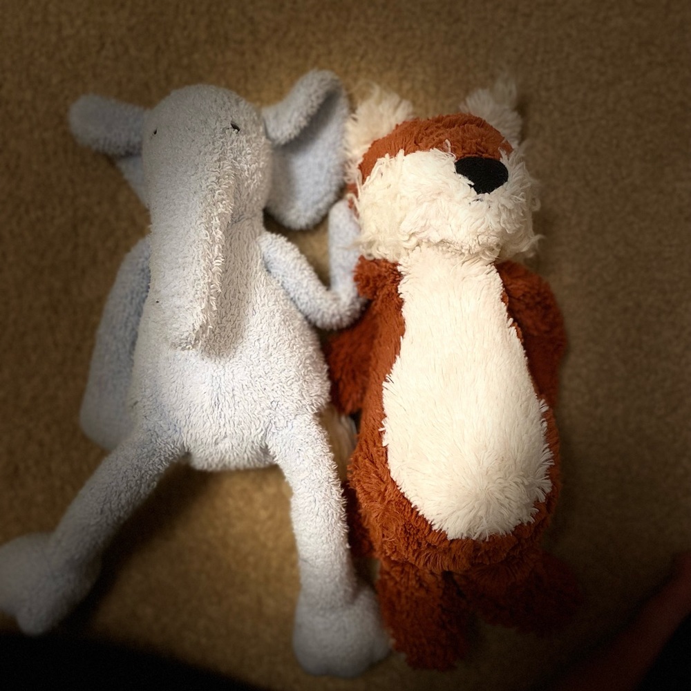 Jelly cat fox and elephant